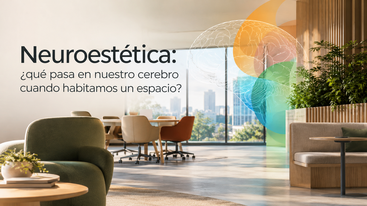 Neuroestética: cómo influye el diseño de los espacios en nuestro cerebro